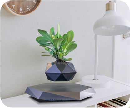 Levitating Plant Pot Floating Air Bonsai Pot Suspension Flower Pot Planter for Desk Decoration